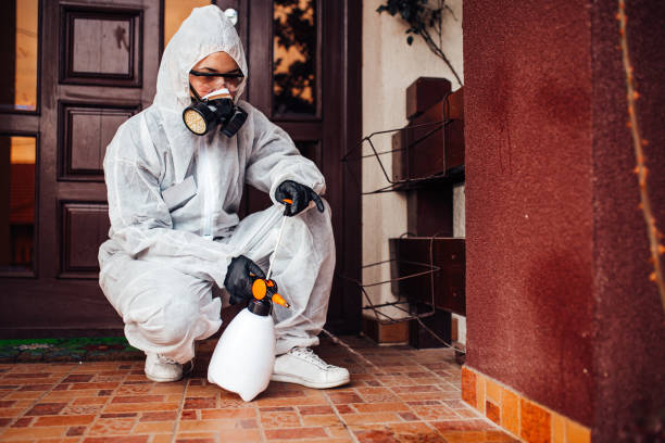 Reliable Cockroach Control contractor in Berkeley, CA by Nex Pest Control